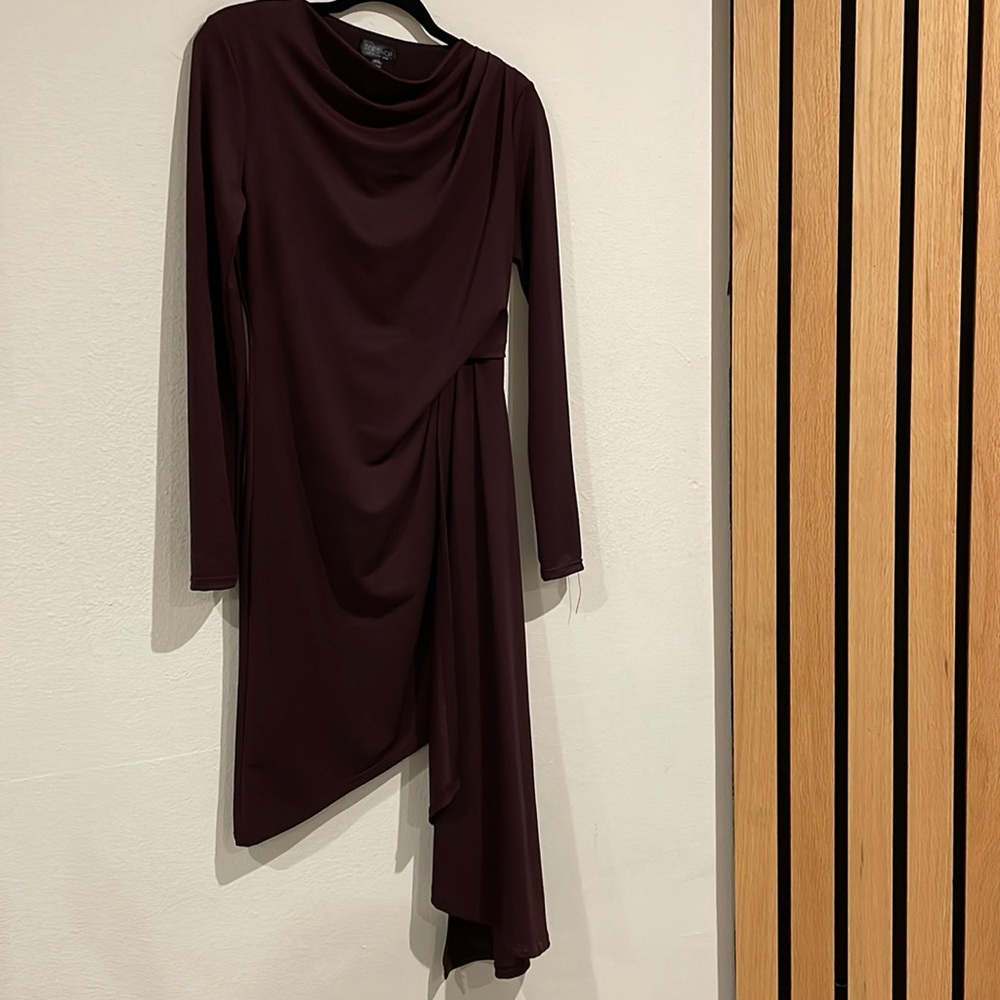 Size 6 Topshop Maroon long sleeve dress
